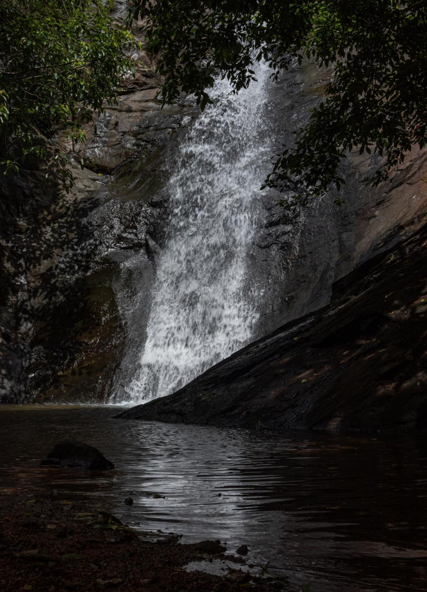 Aruvikuzhy Waterfalls Villa Kozhancheri Eksteriør bilde